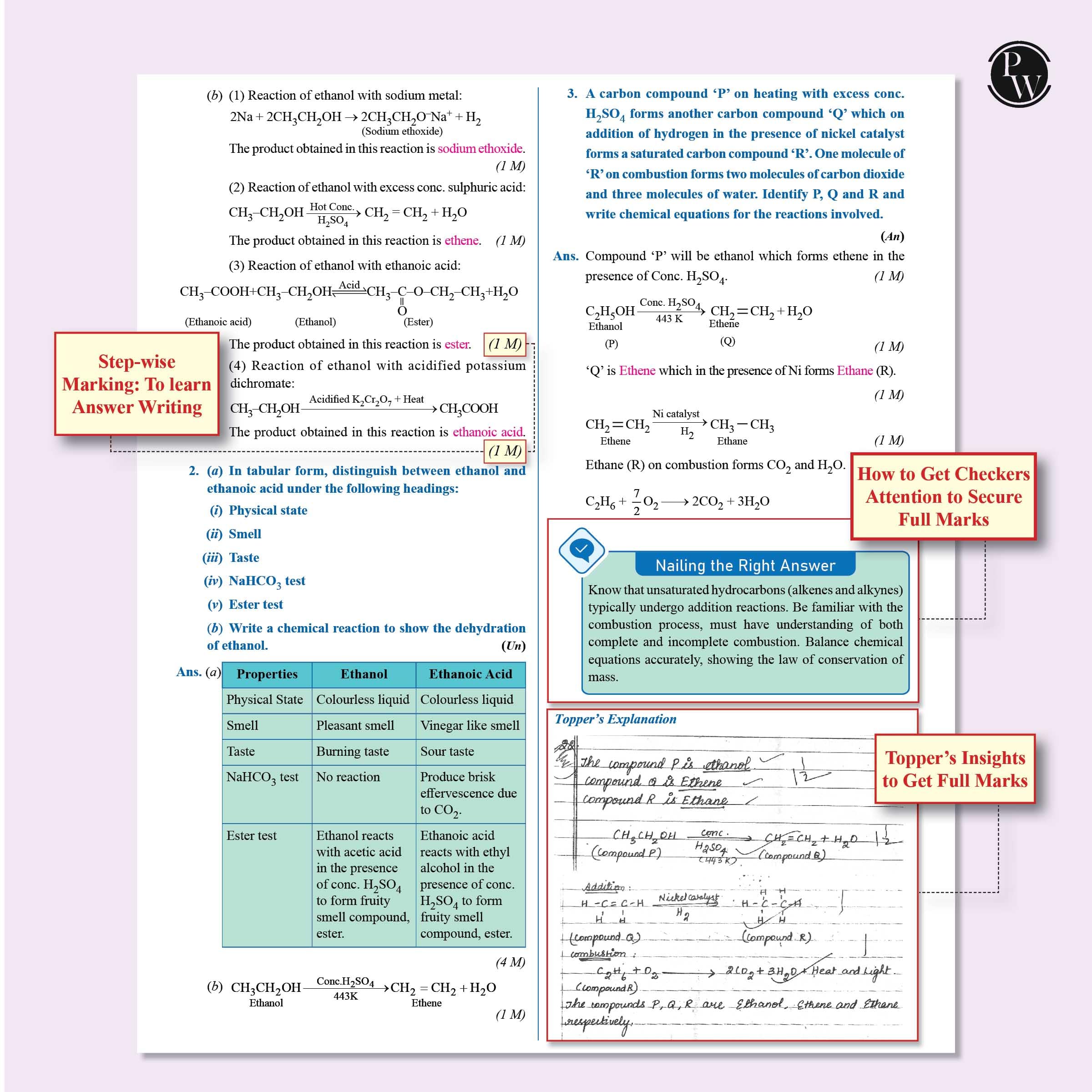 Physics Wallah CBSE Question and Concept Bank (QCB) Class 10 Science and Mathematics (Basic) Combo Set of 2 Books - Image 3